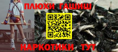 сатива Коммунар