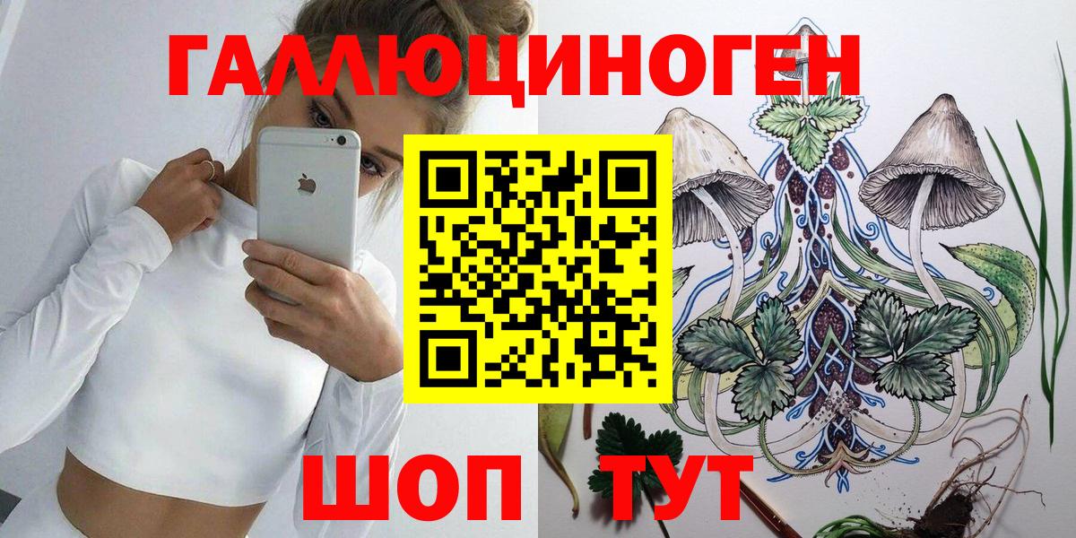 Элиста  Псилоцибиновые грибы прущие грибы  Вход с VPN 